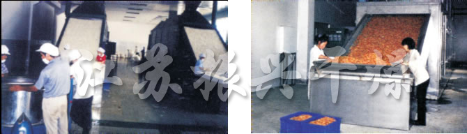 DW多層帶式幹燥機(jī) DW多層帶式幹燥機