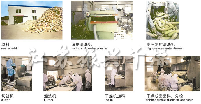 DWC係列脫水蔬菜帶式（shì）幹燥機