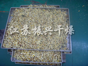 幹燥後的菊花（huā）