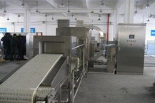 微波（bō）幹燥設備