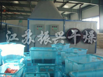 枸杞專用非標（biāo）隧道烘箱