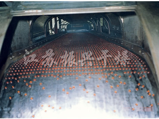 RL係列熔融造（zào）粒機